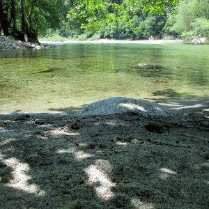 Il fiume Maggia